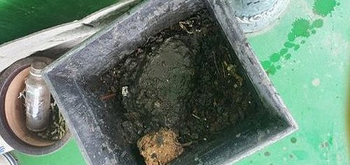 사간동 아파트 하수구막힘, 어디부터 점검할까?